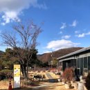 석운로202번길 | 판교 헬로오드리 예약 가족식사 하기 좋은 레스토랑 크리스마스 방문 후기