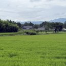 명동쌈밥 이미지