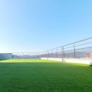 도그힐튼 이미지