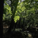 삼원레저타운 | 충청도 서산 삼원레저타운 캠핑장 후기