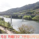 카페더로그앤통나무집 | 곡성카페 카페더로그앤통나무집 섬진강뷰 자몽에이드 봄나들이 후기