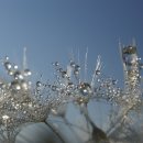 기독교복음침례회 이미지