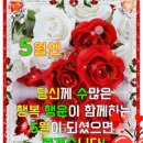 오월의향기