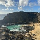 인출농장 이미지