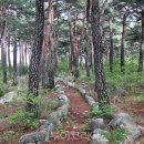 송림쉼터 이미지