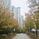 드봉여성전용사우나 이미지