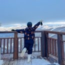 메이플랜드펜션 | 정선 메이힐스 리조트 스키샵 셔틀버스 후기 하이원 근처 가성비 숙소 추천