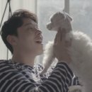 핸드스토리 네이버블로그