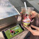 메가커피 말차 젤라또 팥빙 파르페 (속상😭) 후기