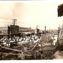 배다리초등학교 이미지