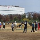 구미파크골프장 이미지