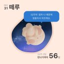 개금대형세탁할인점 | [떼루기록] 임신 32주차 증상들, 경부길이 이슈로 개금백병원 진료, 새해맞이