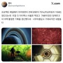 아주그린약국 | 결국은 대단한 역할을 하지 못한 채 한낱 추억으로 사라져 버릴지 모른다