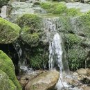 서들농장 이미지