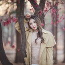 김서하 카카오 검색결과