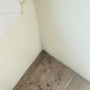 분당-173 이미지