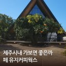 제주 방선문 | 제주시내 가보면 좋을까페 건물예쁜 정원까페 유지커피웍스 내돈내산후기