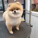 유스타 그루밍 이미지