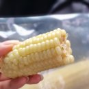 경춘로 | 춘천 경춘로 마루농원 찰옥수수