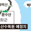 호랑이와 반달곰 이미지