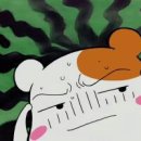 파이핑락