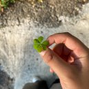 간디고등학교 이미지