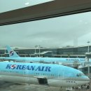 629 | 대한항공 인천 - 발리 KE629 프레스티지석 후기