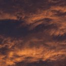 내일날씨 이미지