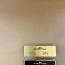 Muscle Attack 이미지