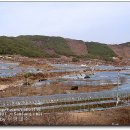 한영농장 이미지