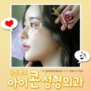 아이콘성형외과의원 이미지