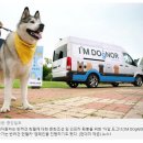 범퍼119 이미지
