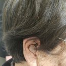 청보빌딩 | [대전보청기] 우송보청기 대전시청점 : 산학협력으로 더 믿음직한 방문 후기