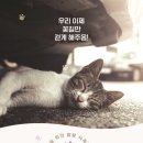 낭만고양이(운정점) 이미지