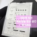 래쉬데이(Lash Day) | (서울_관악)서울대입구속눈썹_대형·쾌적한 몰스래쉬 (몰스데이 혜택까지)