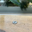 뽀꼬팡 | 회기 경희대 샐러드 맛집 그린브로스 내돈내산 리뷰