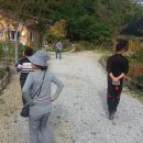 송정섭농장 Daum카페