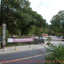 광릉(溫陵)＜2025년도 “100”번째 산행, 각별한 의미와 벌안산＞ 이미지