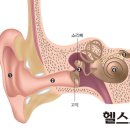 서울라파의원 이미지