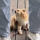혜리네농수산