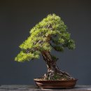 삼촌하우스 이미지