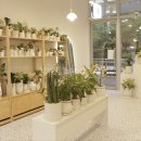 주정차046 이미지