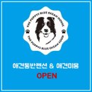 더 퍼피즈 블루 오션 쿡 이미지