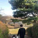 수원 어린이생태미술체험관풀잎 아이와 함께 참여하는 전시관람