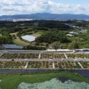 대한농장2 이미지