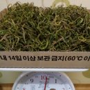 검성로2-1 이미지