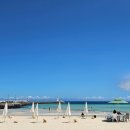 맛나분식 이미지