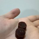 코리아동물병원 | [버박코리아] 강아지 동물병원 전용 관절영양제 추천 / 버박코리아 모보플렉스 솔직후기