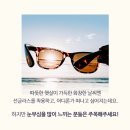 성모병원옆점다비치안경 이미지