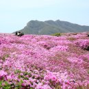 황매산 풍경 스케치 이미지